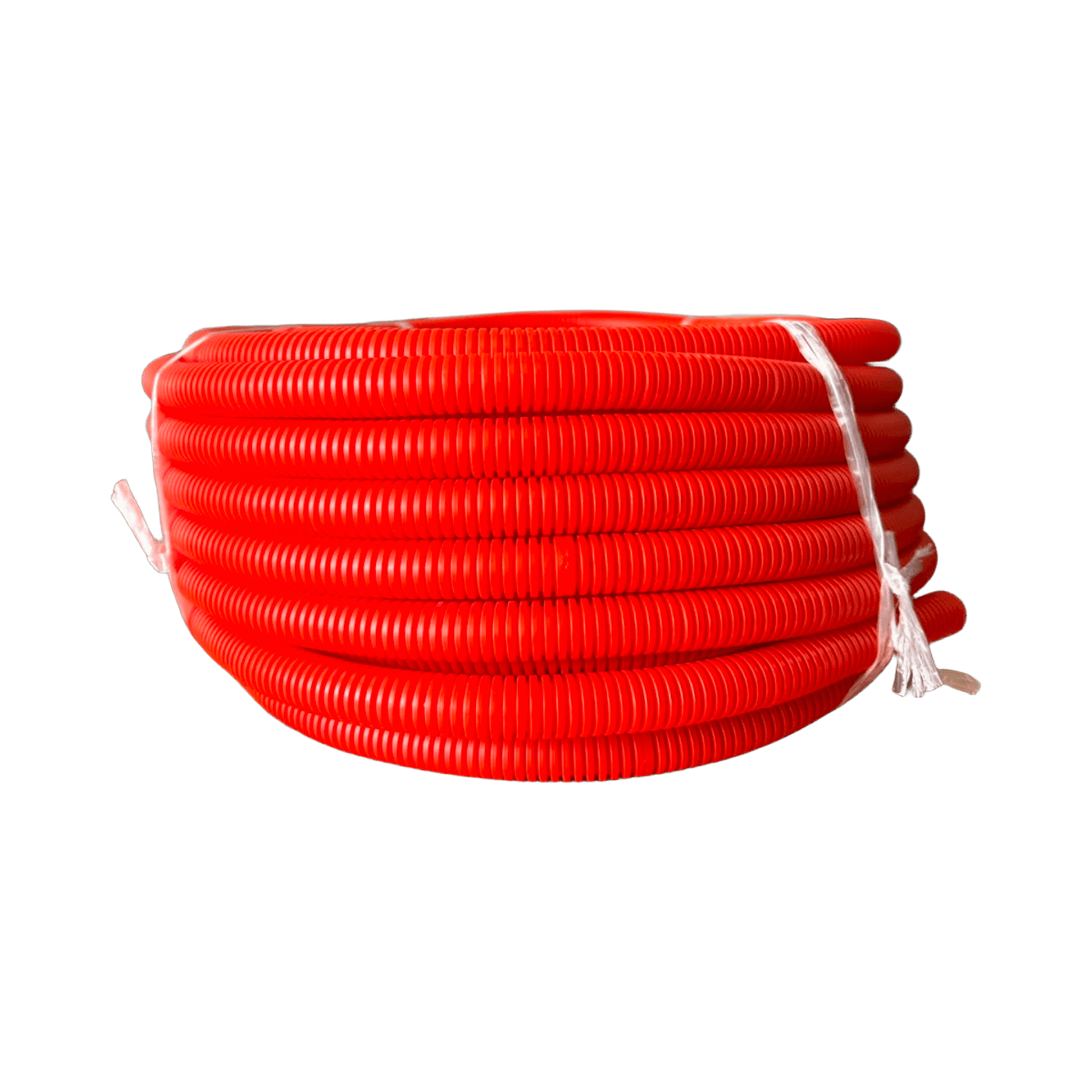 Naranja Liviano
